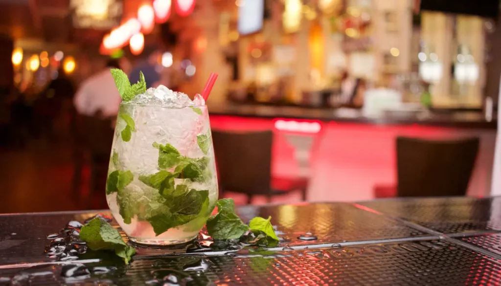 How to Make the Best Virgin Mojito Mocktail in 5 Simple Steps